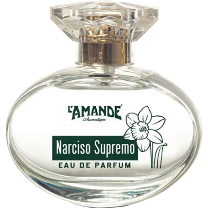Narciso Supremo